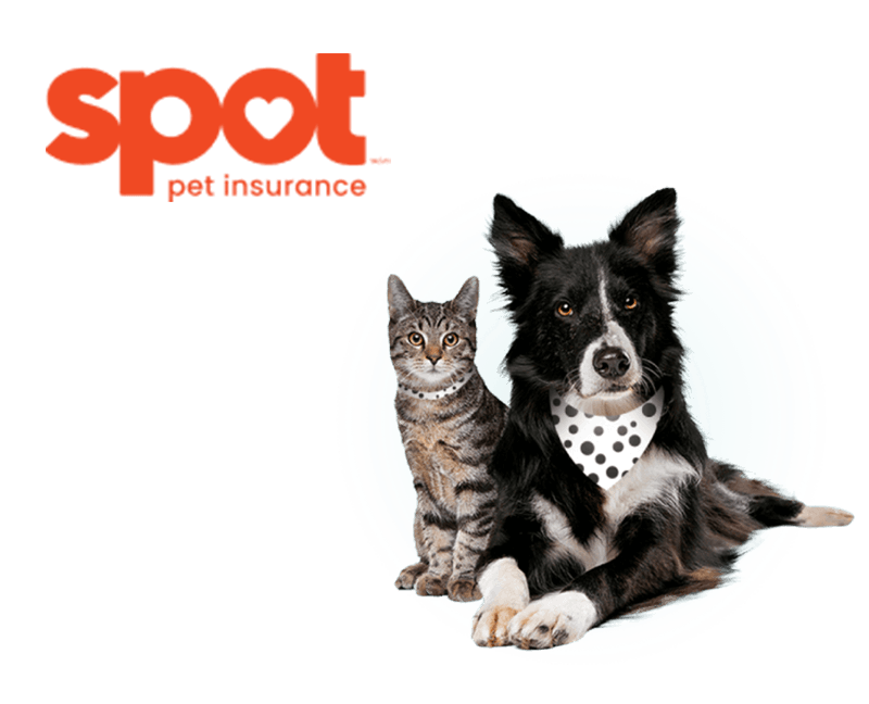 Spot Pet Insurance Homepage Canada
